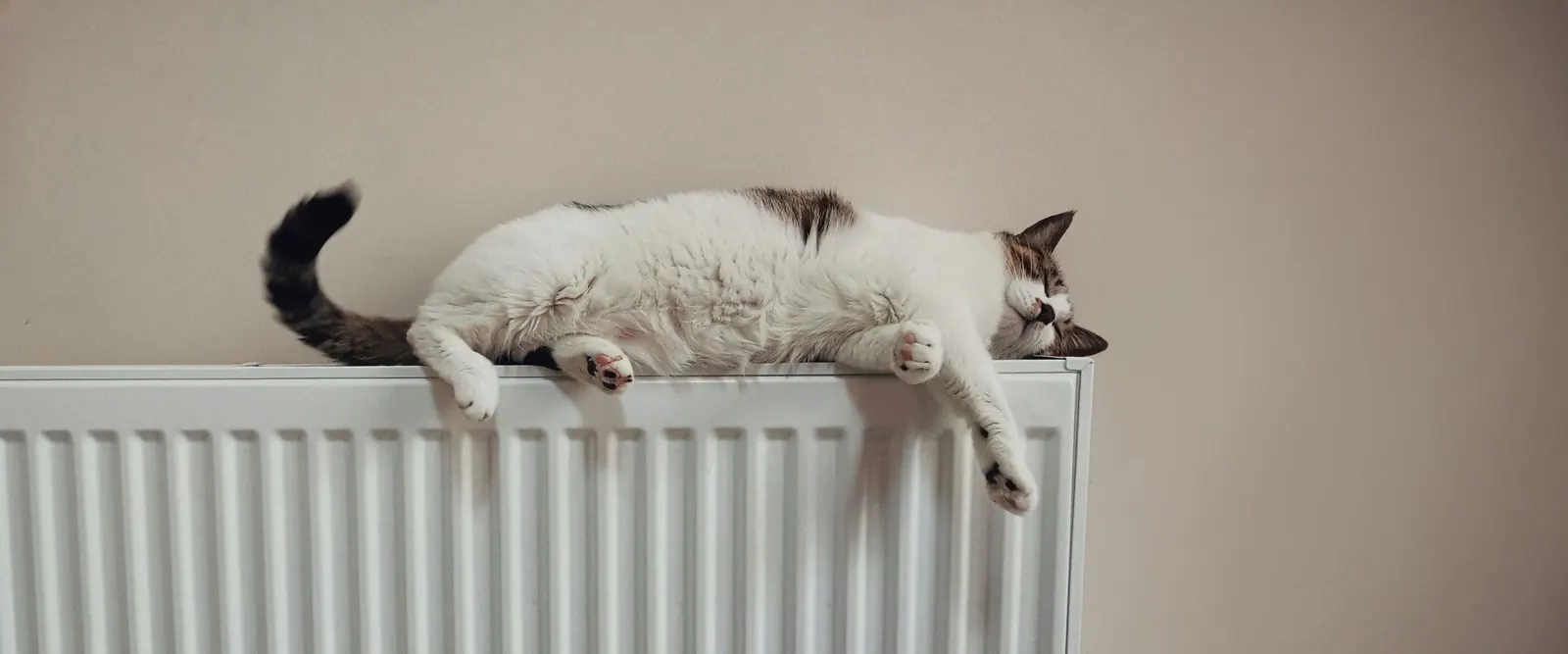 Energetische Sanierung einer Immobilie, aus alt mach neu?
