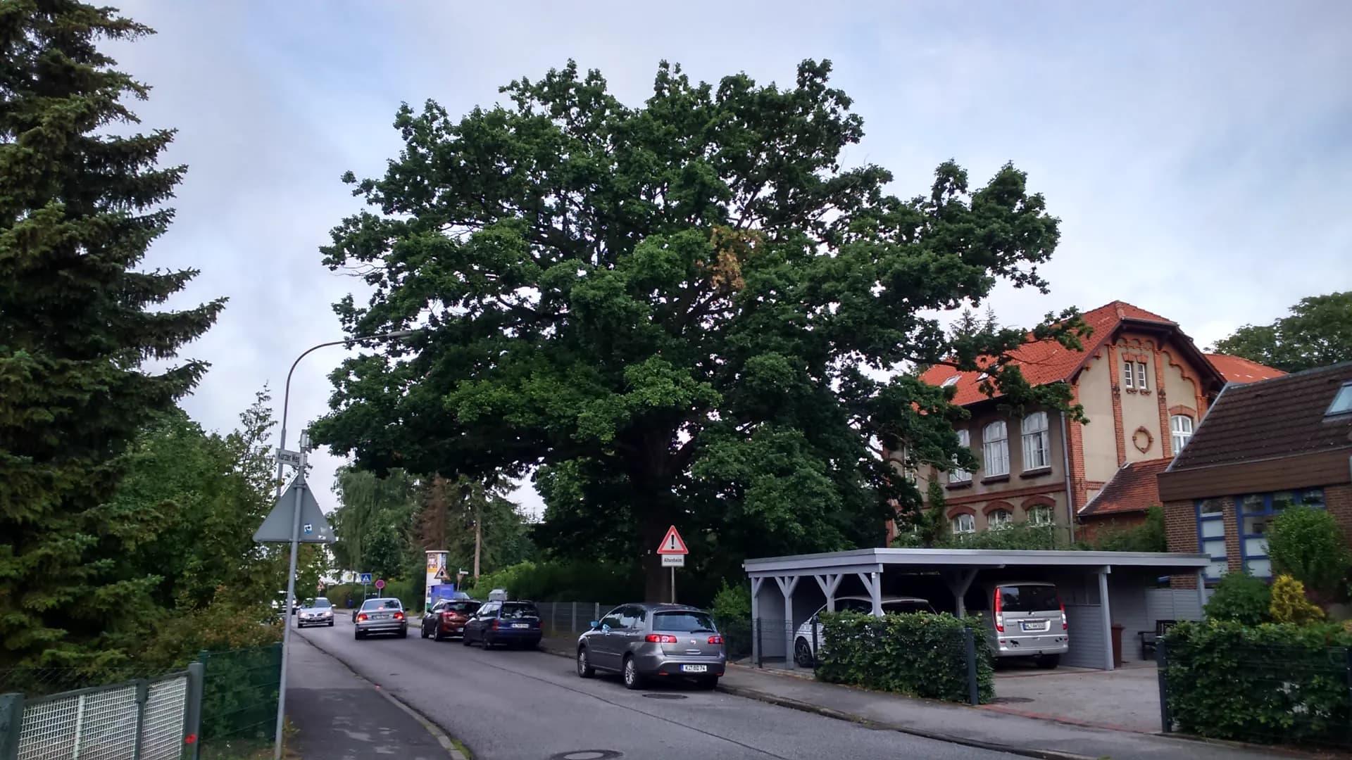 Naturdenkmal in der Siedlung Dornbreite in Lübeck