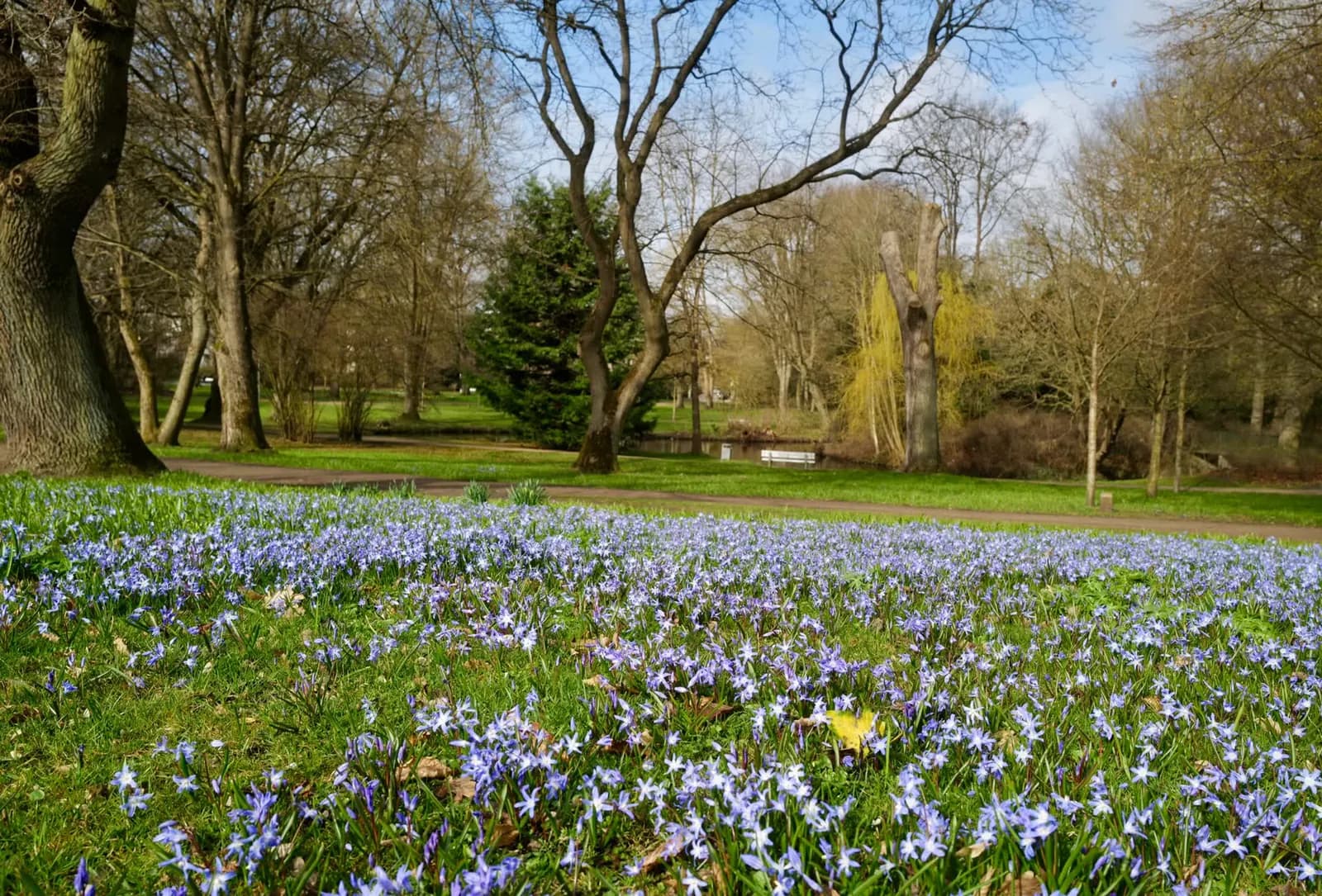 Lübecker Stadtpark in St. Gertrud